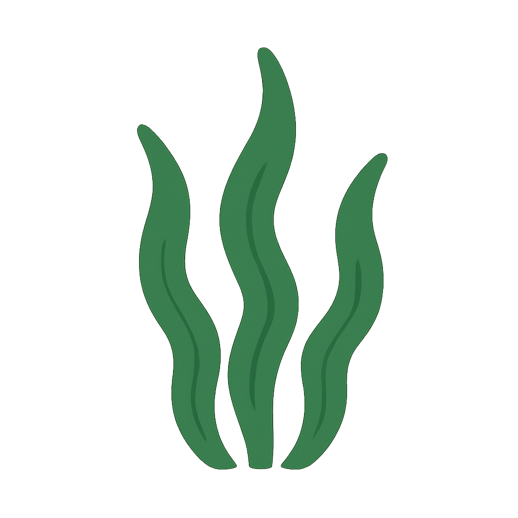 wakame-kusowaro.com